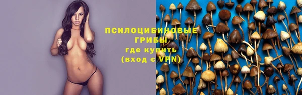 PSILOCYBIN Абдулино