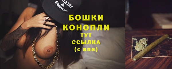 PSILOCYBIN Абдулино