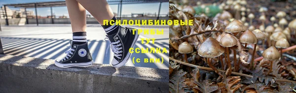 spice Абинск