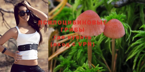 PSILOCYBIN Абдулино